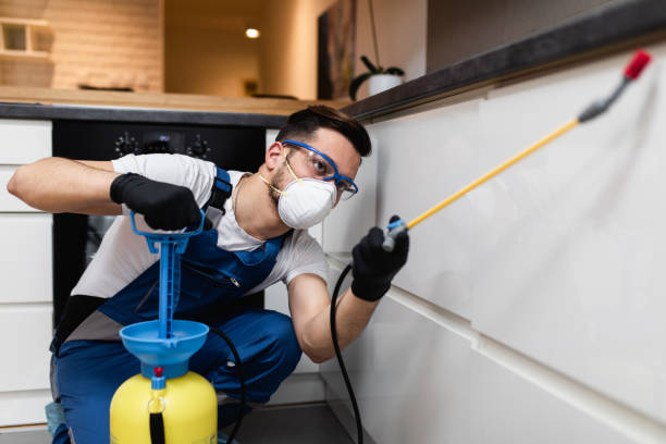 Best Ant Control Services  in Beverly, OH