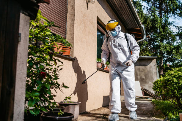 Best Affordable Pest Control Services  in Beverly, OH