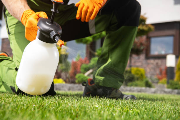 Best Emergency Pest Control  in Beverly, OH