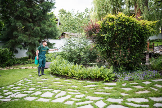 Best Mosquito Control Services  in Beverly, OH