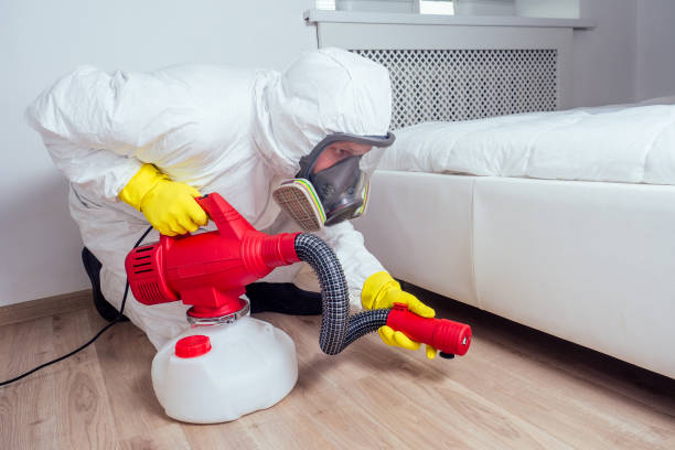 Best Best Pest Control Companies  in Beverly, OH