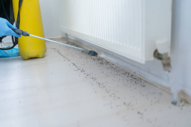 Pest Prevention Services in Beverly, OH